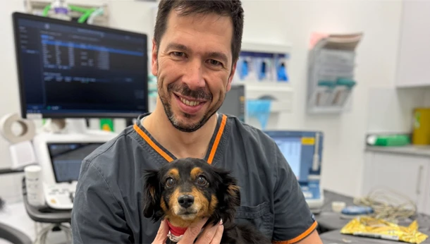 vet with small dachshund dog