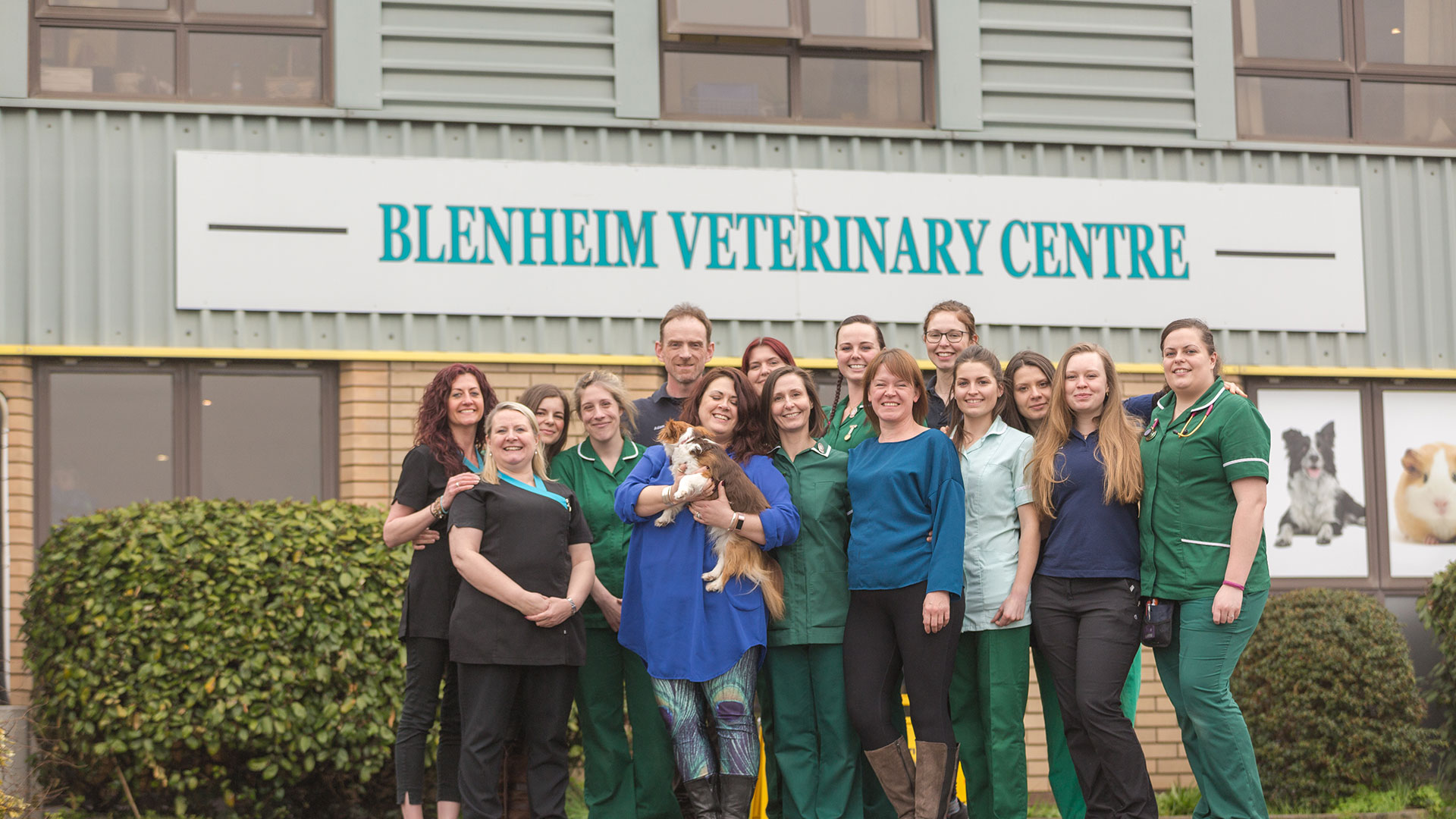 Video Consultations Blenheim Vets