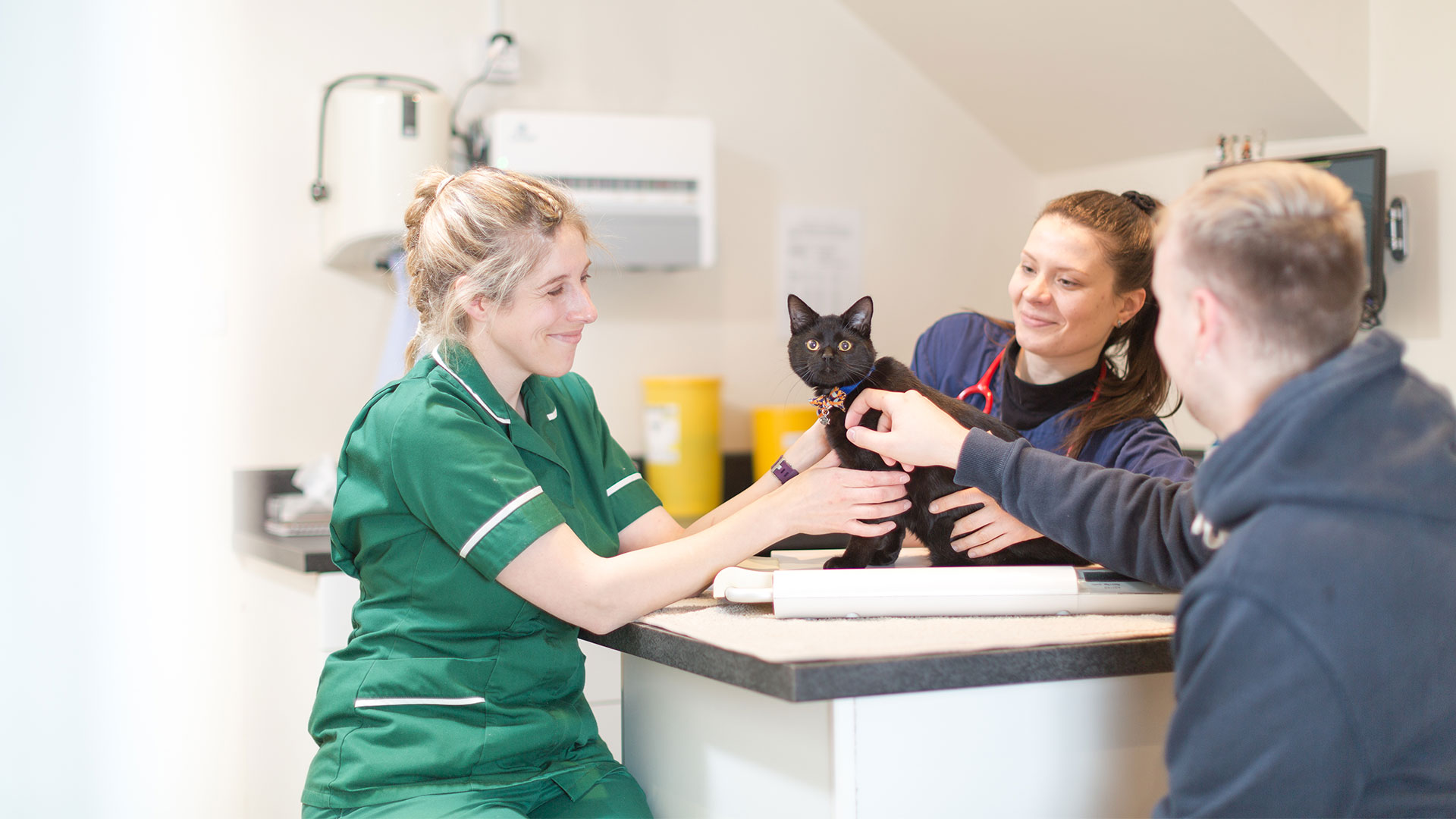 Veterinary Services Ashbourne | Local Vets in Ashbourne - Blenheim Vets