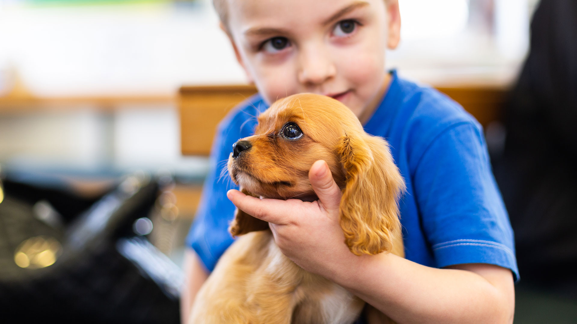 out-of-hours-emergency-vets-in-canterbury-bourne-vets