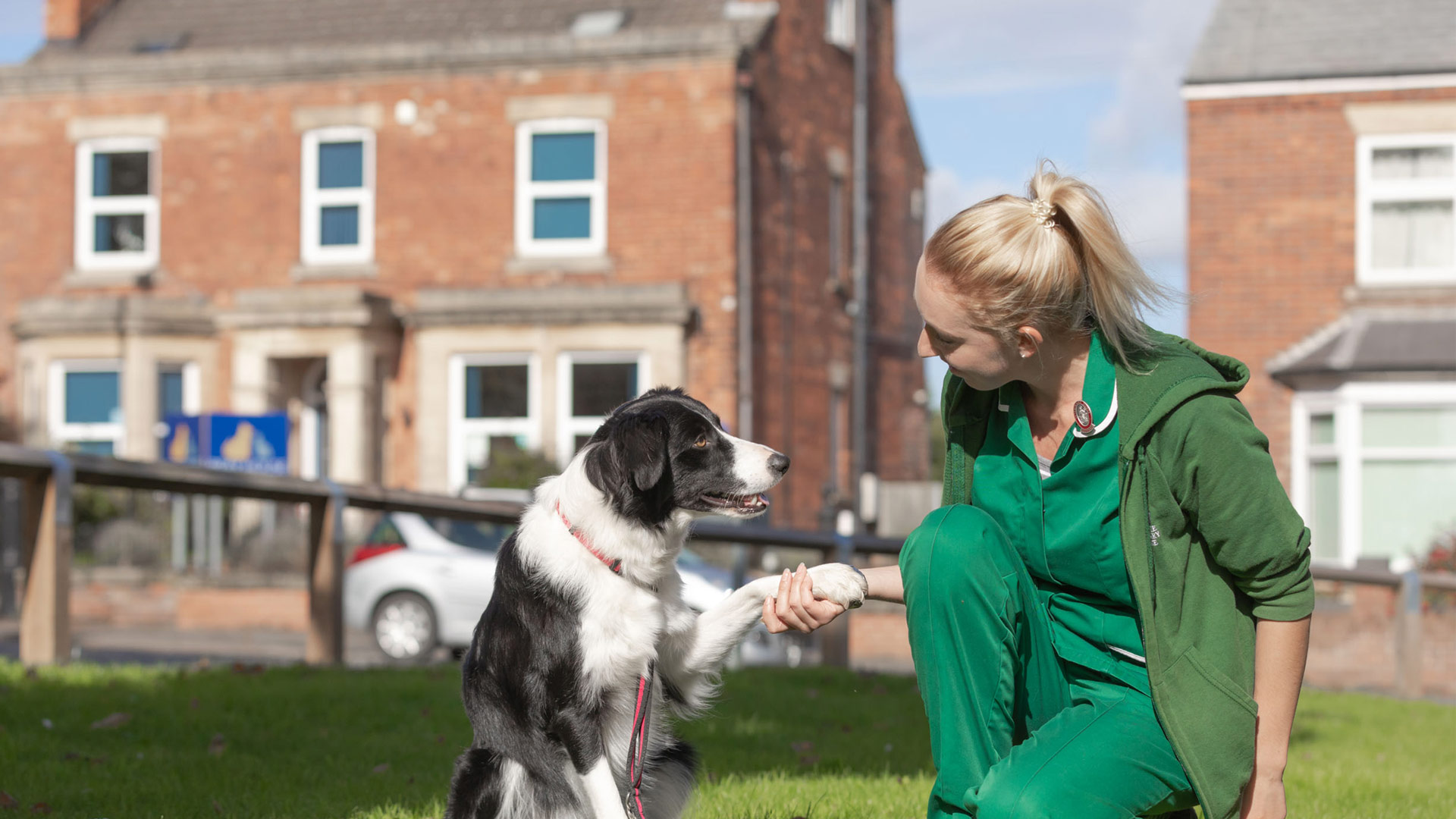 Blog | Local Vets in Grantham and Melton Mowbray - Bray House