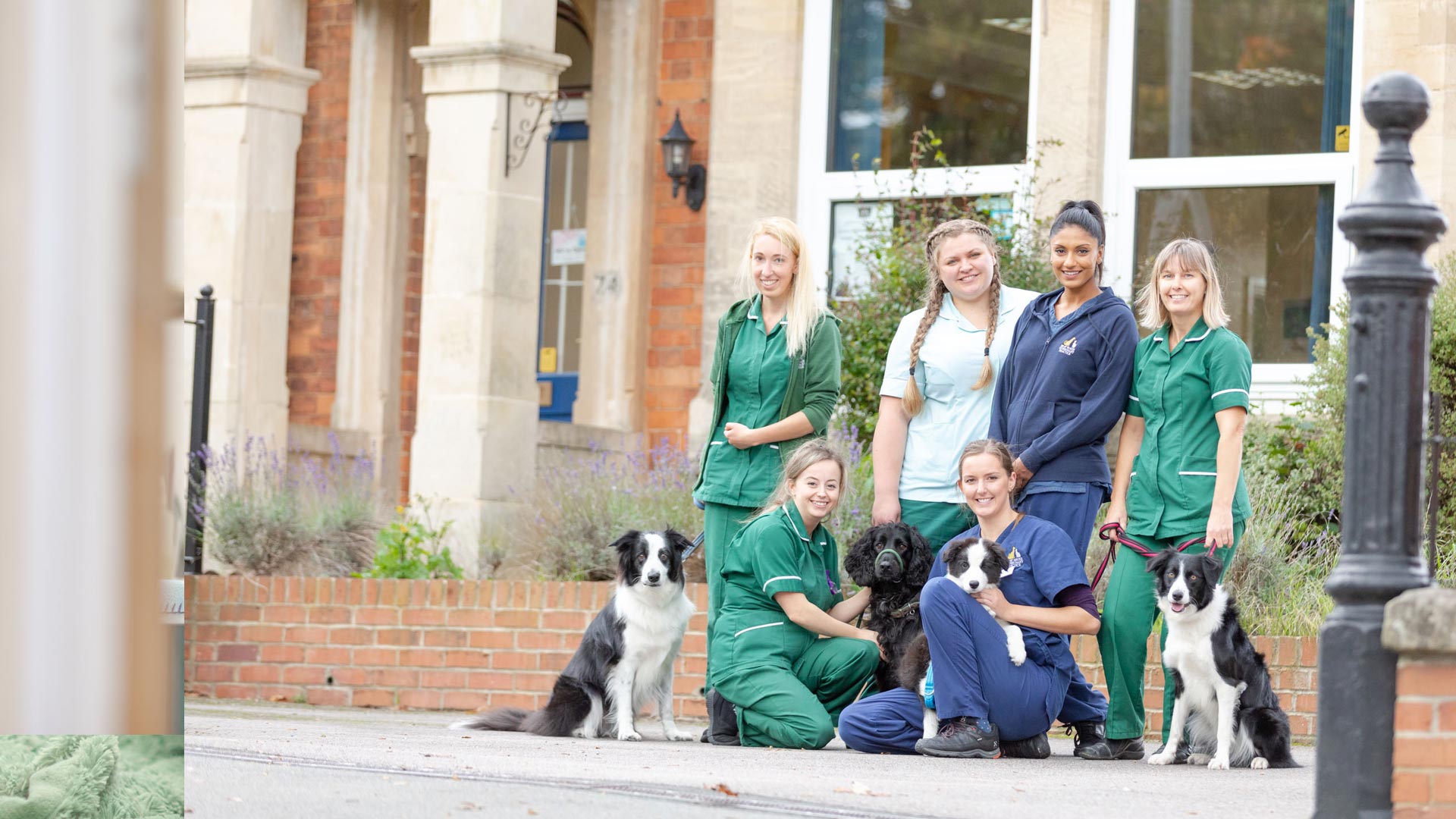 Meet the Team Local Vets in Grantham and Melton Mowbray Bray House Veterinary Practice