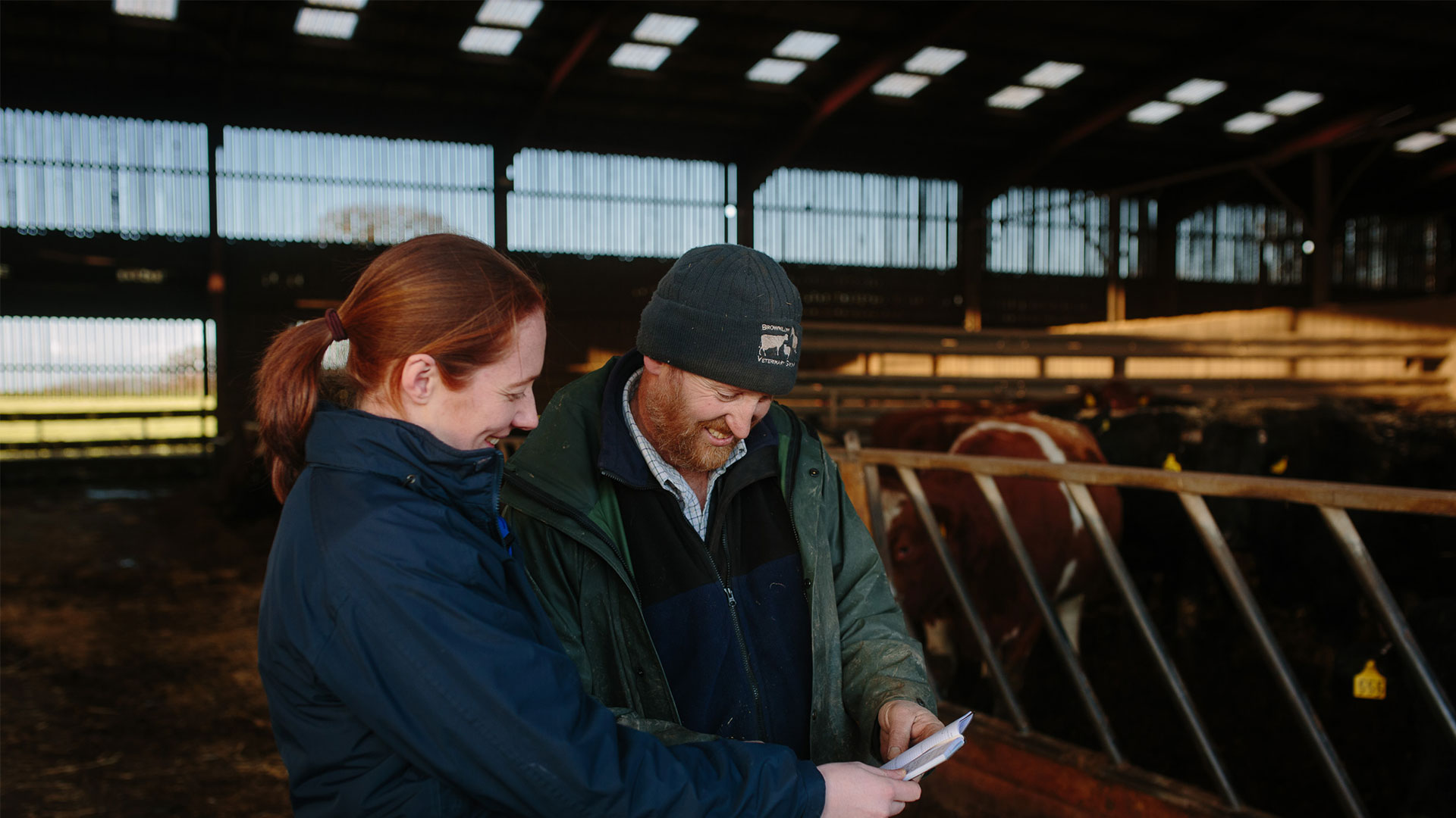 About Brownlow Vets Friendly Vet Group in Ellesmere, Shropshire