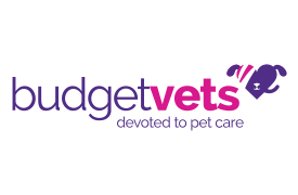 Contact Our Veterinary Team | South Wales | South Wales Vets - South ...