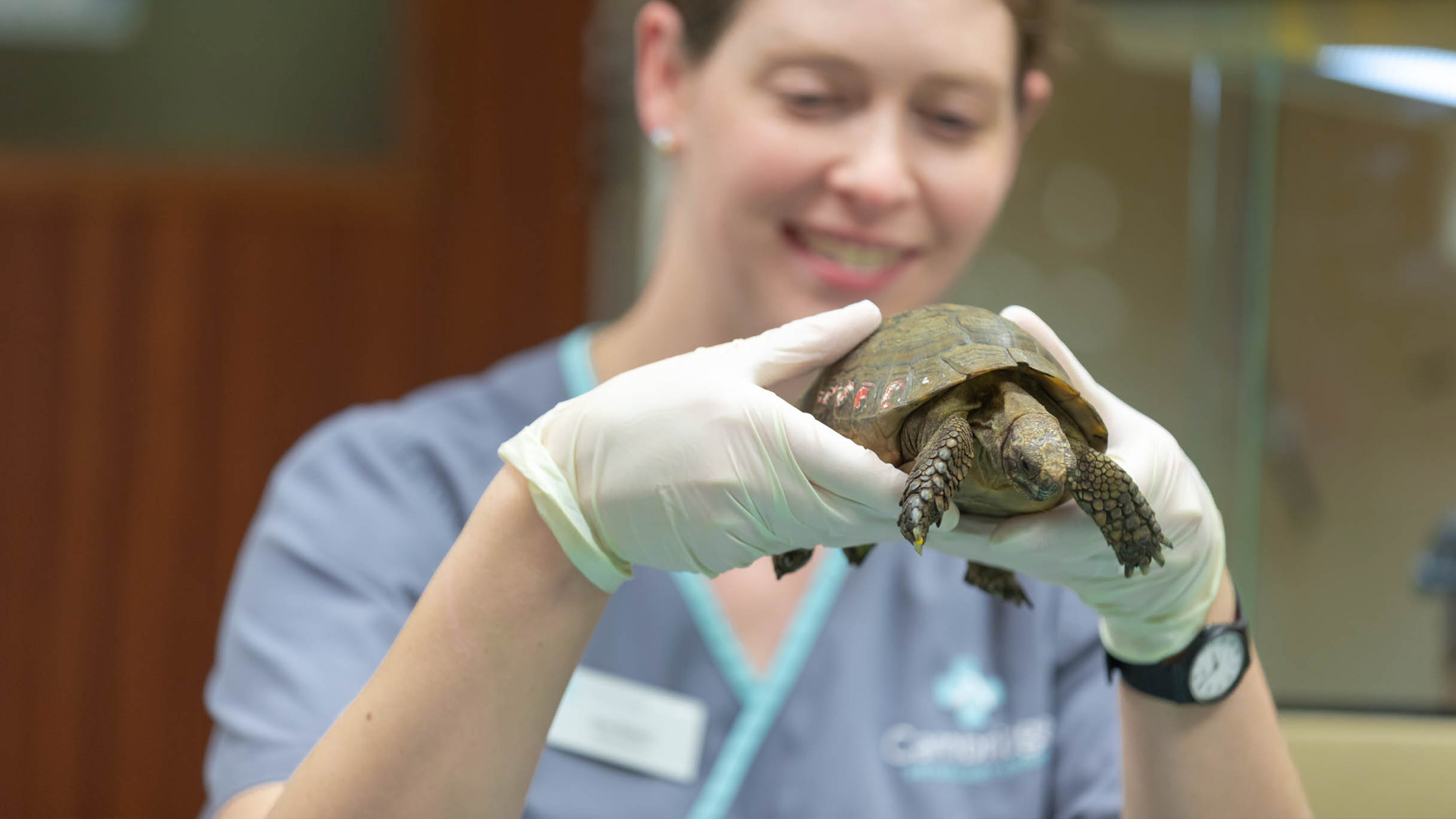 Veterinary Services Cambridge Local Vets in Cambridge Cambridge Vet