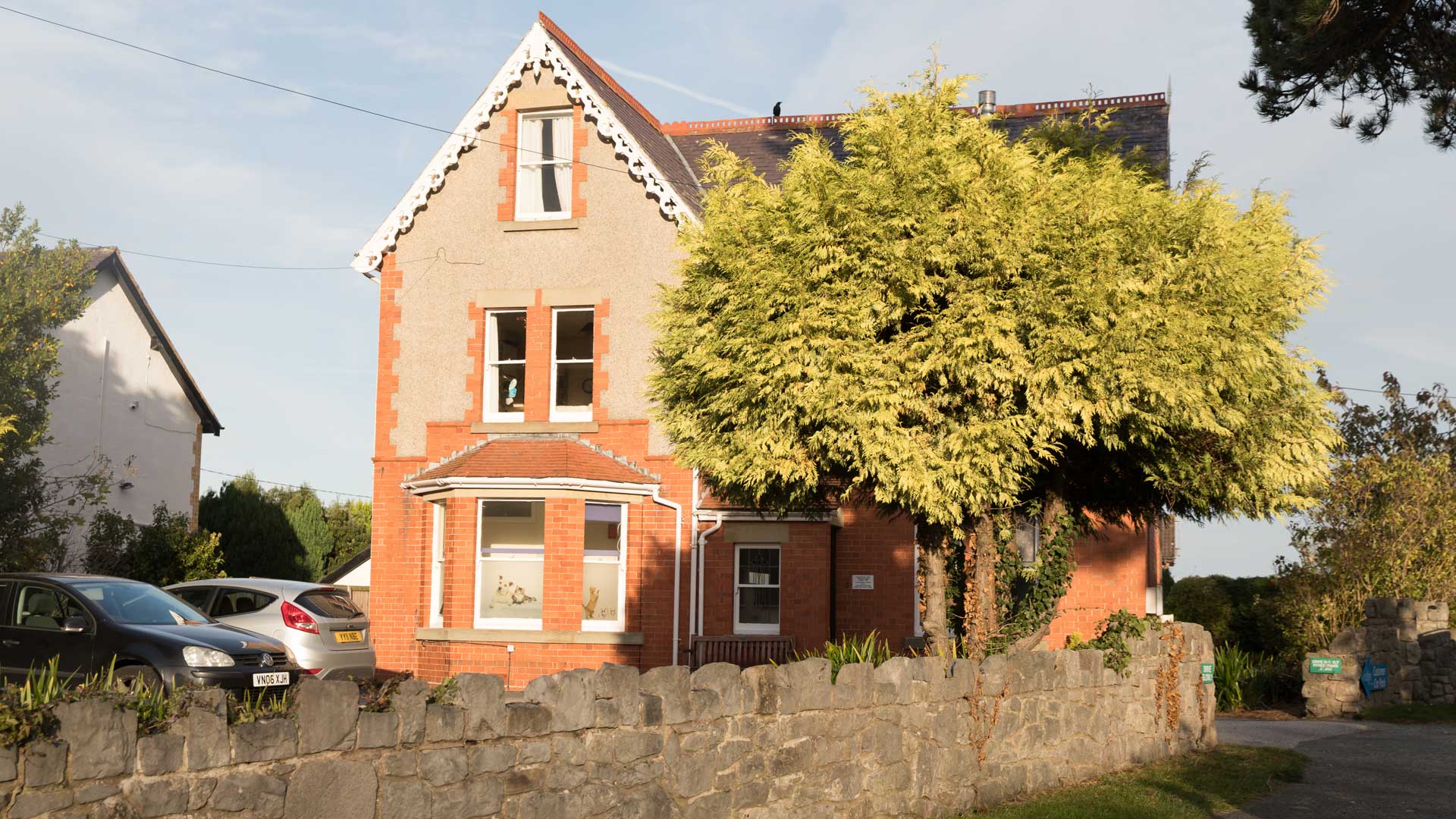 About Us Find out more about your local vets in Abergele Celyn Vets