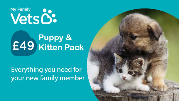 vets for pets opening times