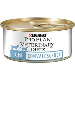 pro plan convalescence