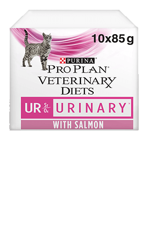 Online Shop - Powered by My Family Vets - My Family Vets Shop
