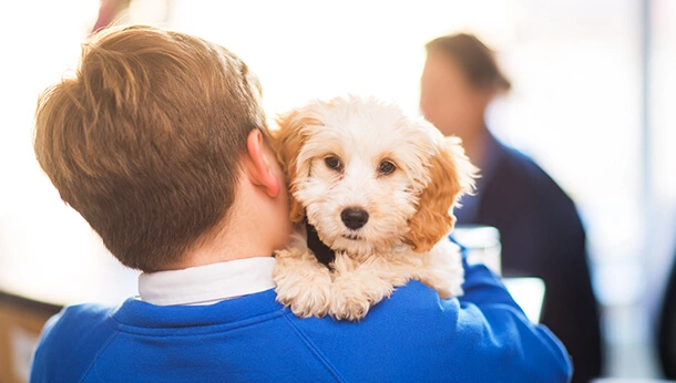 Puppy held by owner