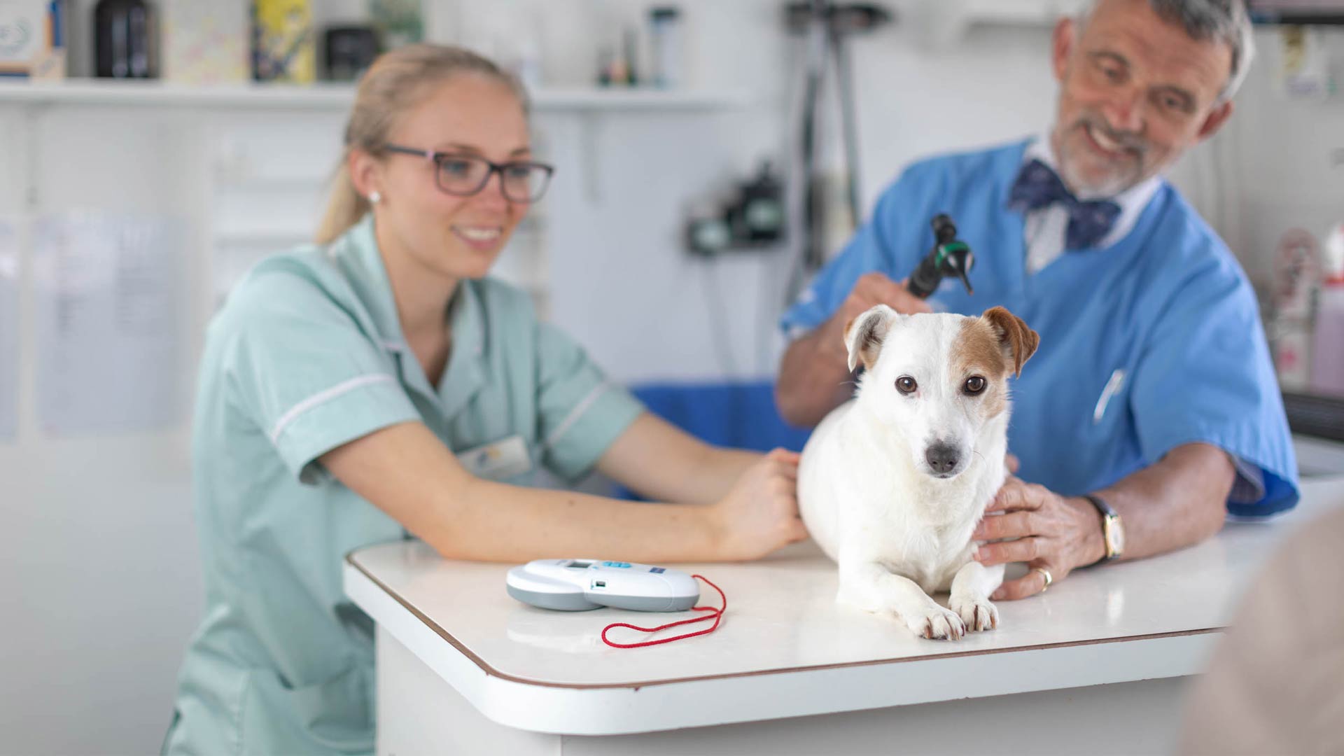 Meet The Team | Local Vets In Derbyshire - Charlesworth Vets