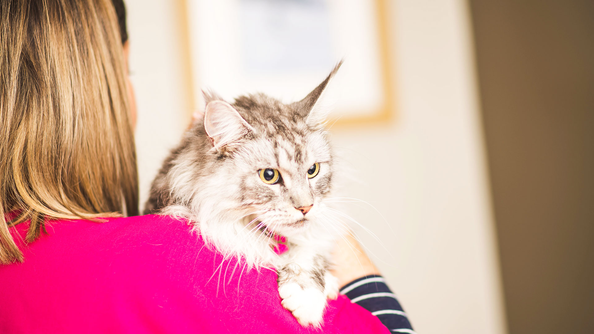 Looking After Your Pet Cheshire Pet