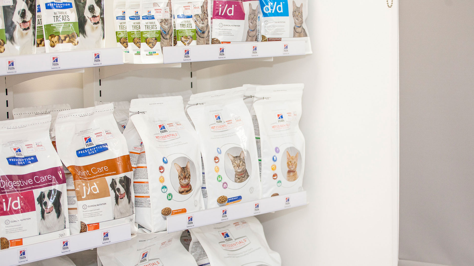 Pet Advice Local Vets in Holmes Chapel, Cheshire Cheshire Pet