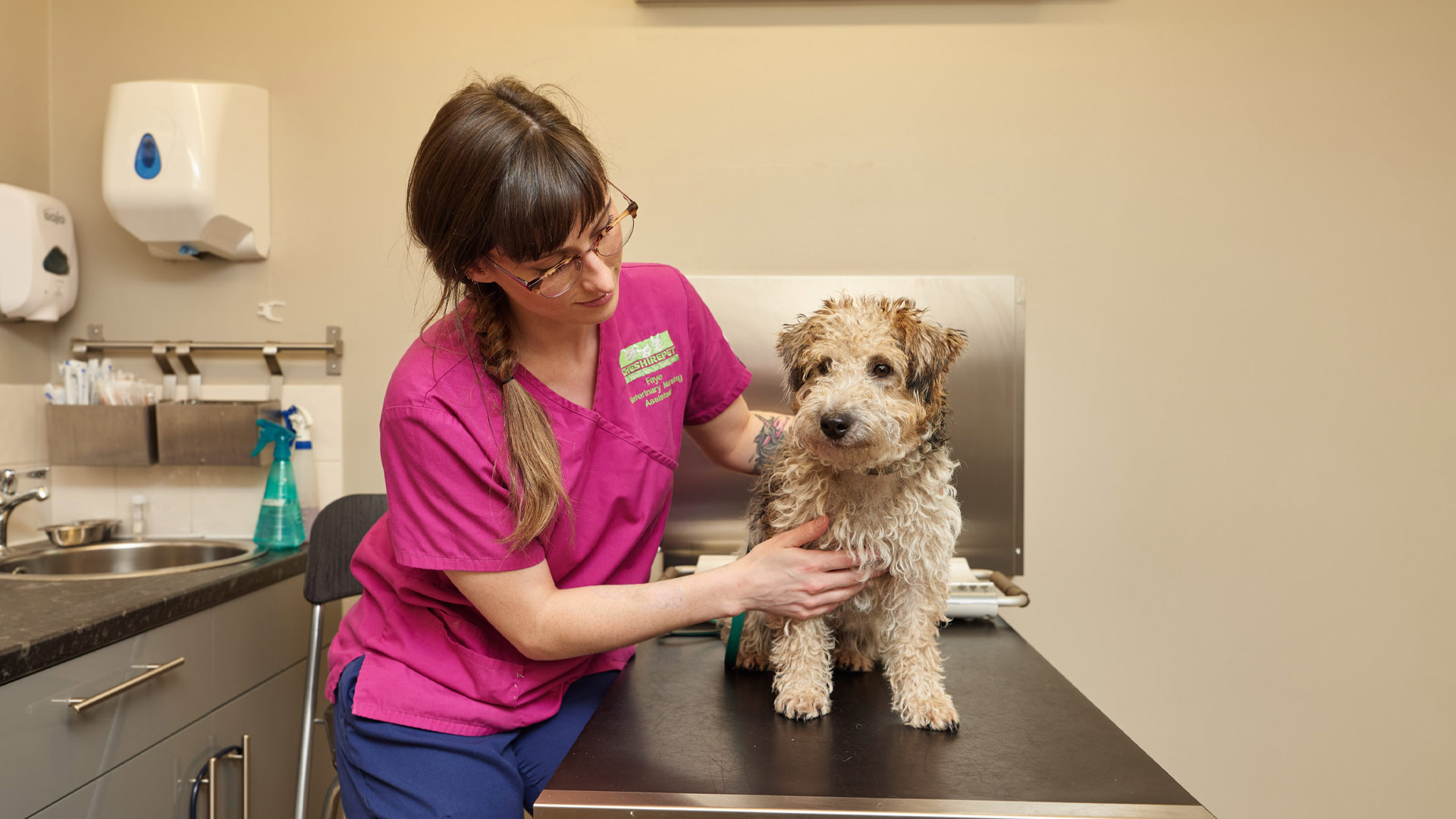 Pet Advice Local Vets in Holmes Chapel, Cheshire Cheshire Pet