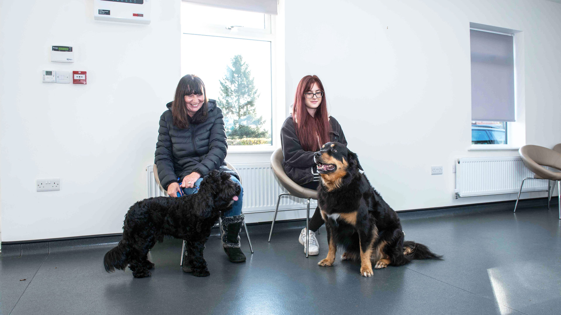 Health Club at Cheshire Pet Sandbach - Cheshire Pet Sandbach Health Club at Cheshire Pet Sandbach - Cheshire Pet Sandbach