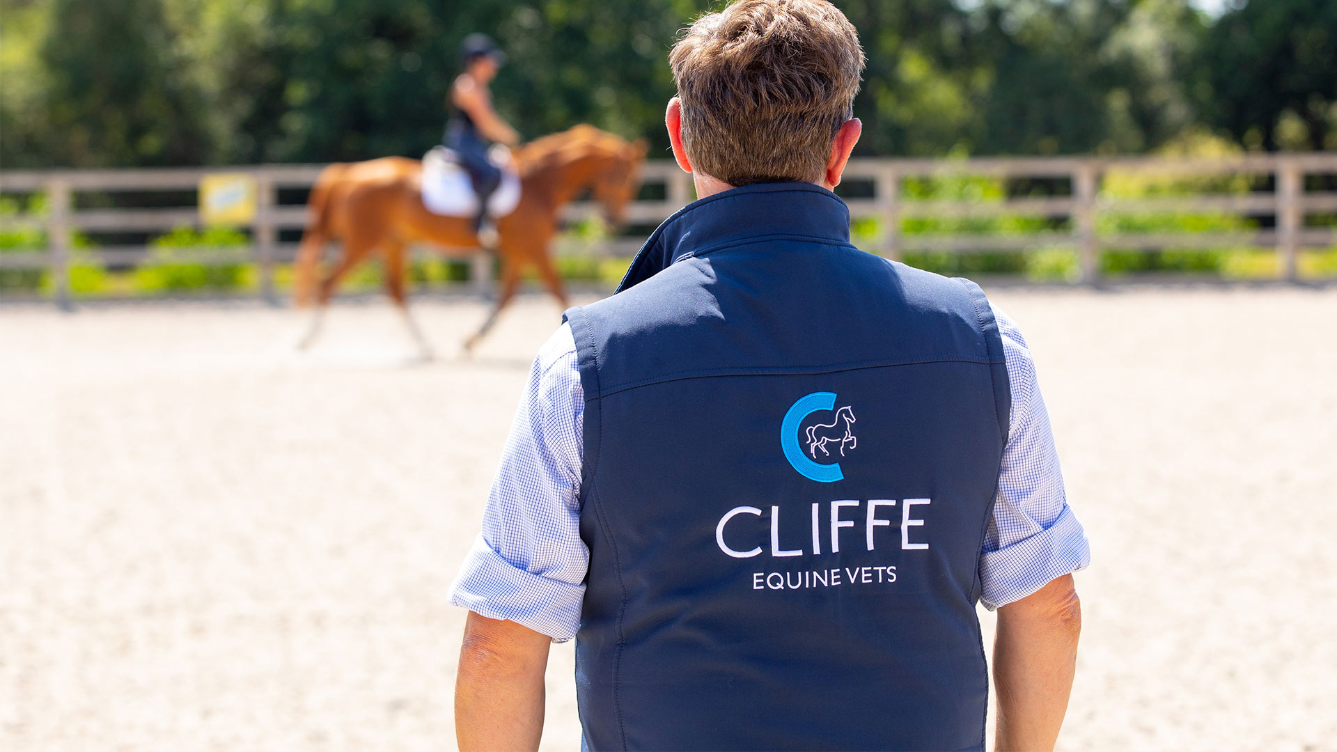 Contact us Local Vets in Laughton Cliffe Equine