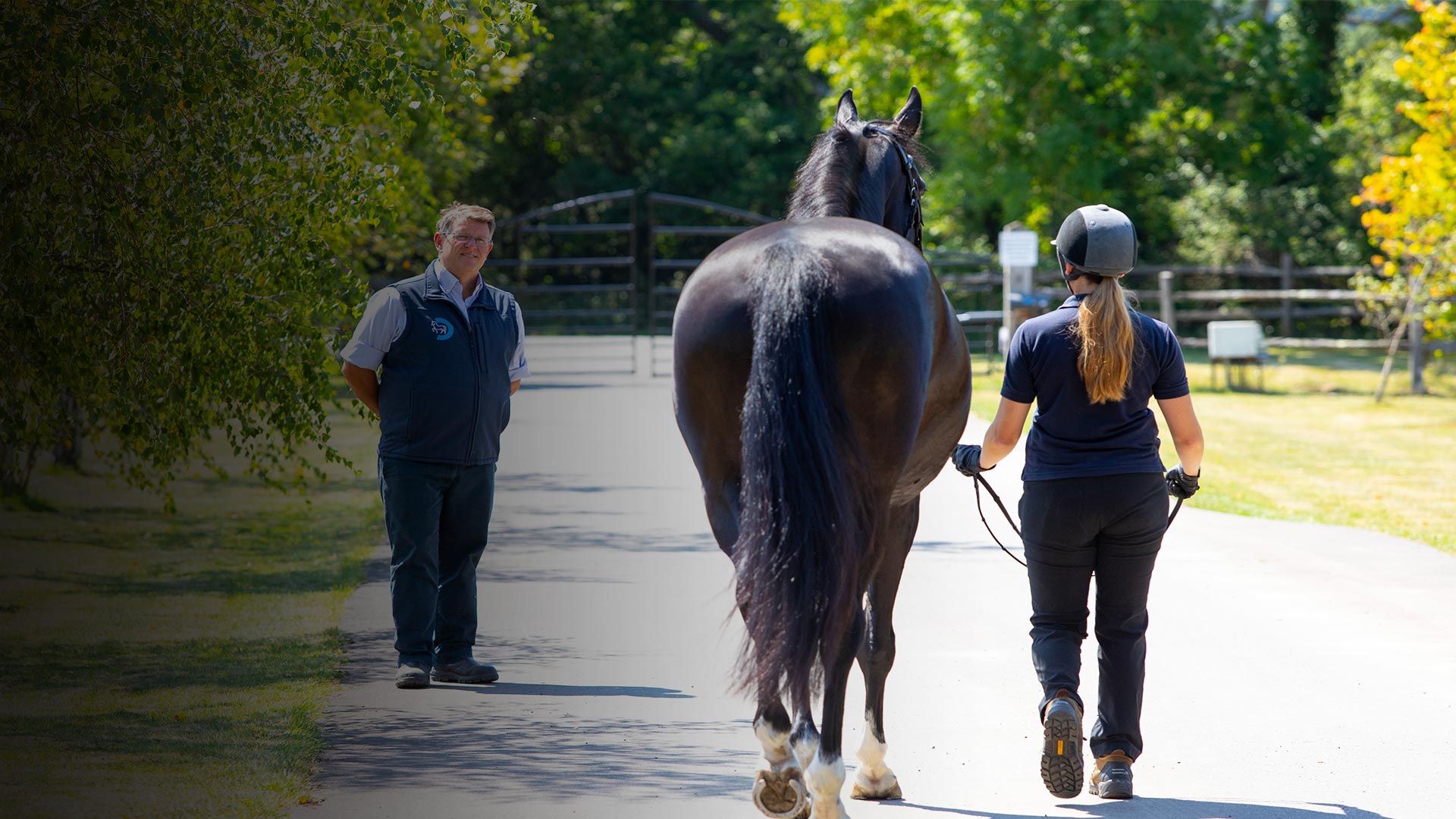 Vets in Laughton Laughton Equine Vets Cliffe Equine