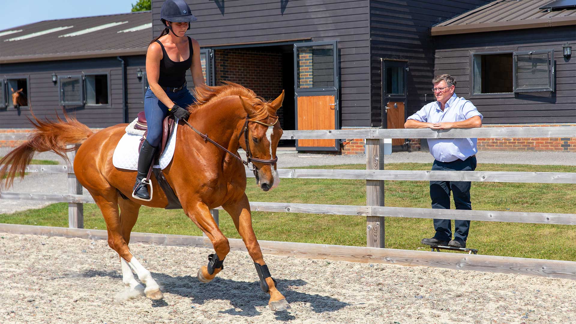 Vettings Local Vets in Laughton Cliffe Equine