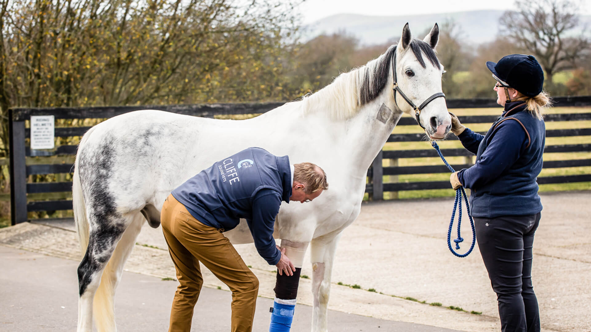 About us Local Vets in Laughton Cliffe Equine