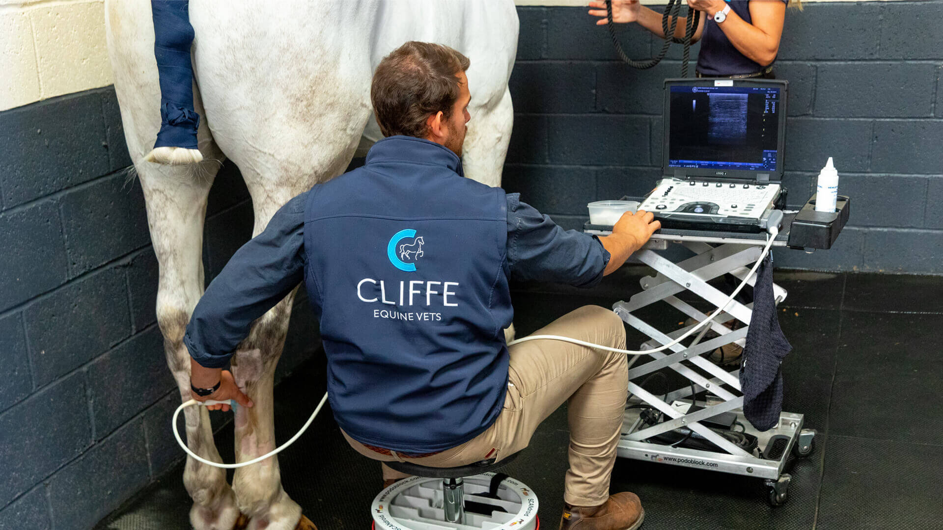 Veterinary Services Local Vets in Laughton Cliffe Equine