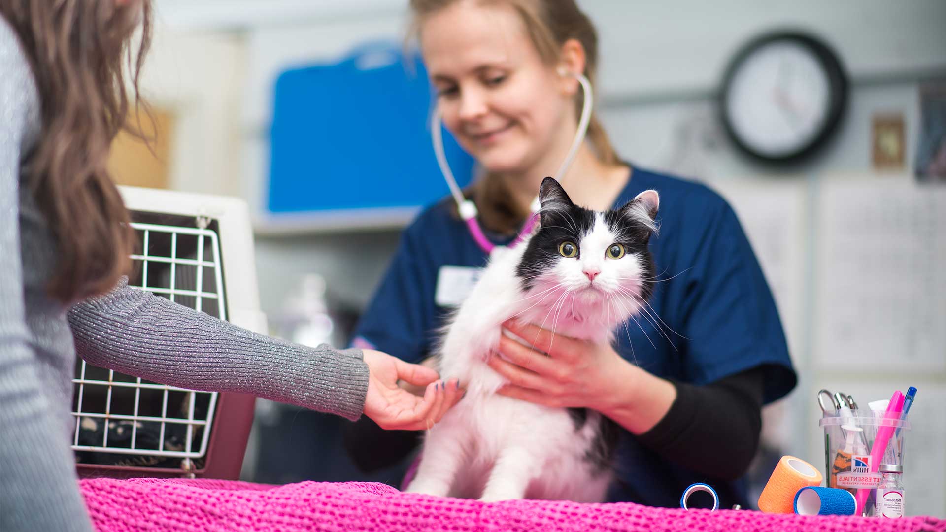 home care specialist salary