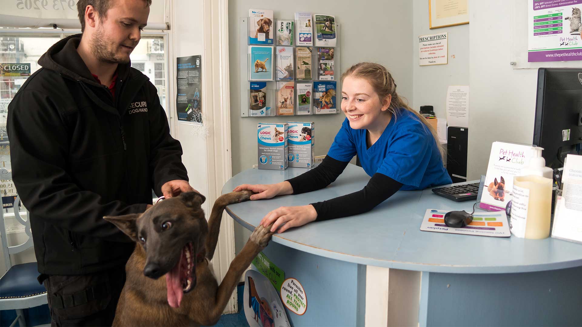 Contact us Local Vets in Clifton, Bristol Clifton Vet