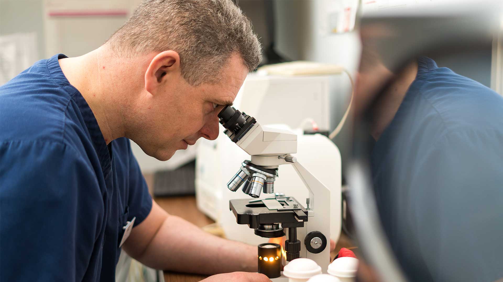 Veterinary Services Clifton Local Vets in Clifton Clifton Vet