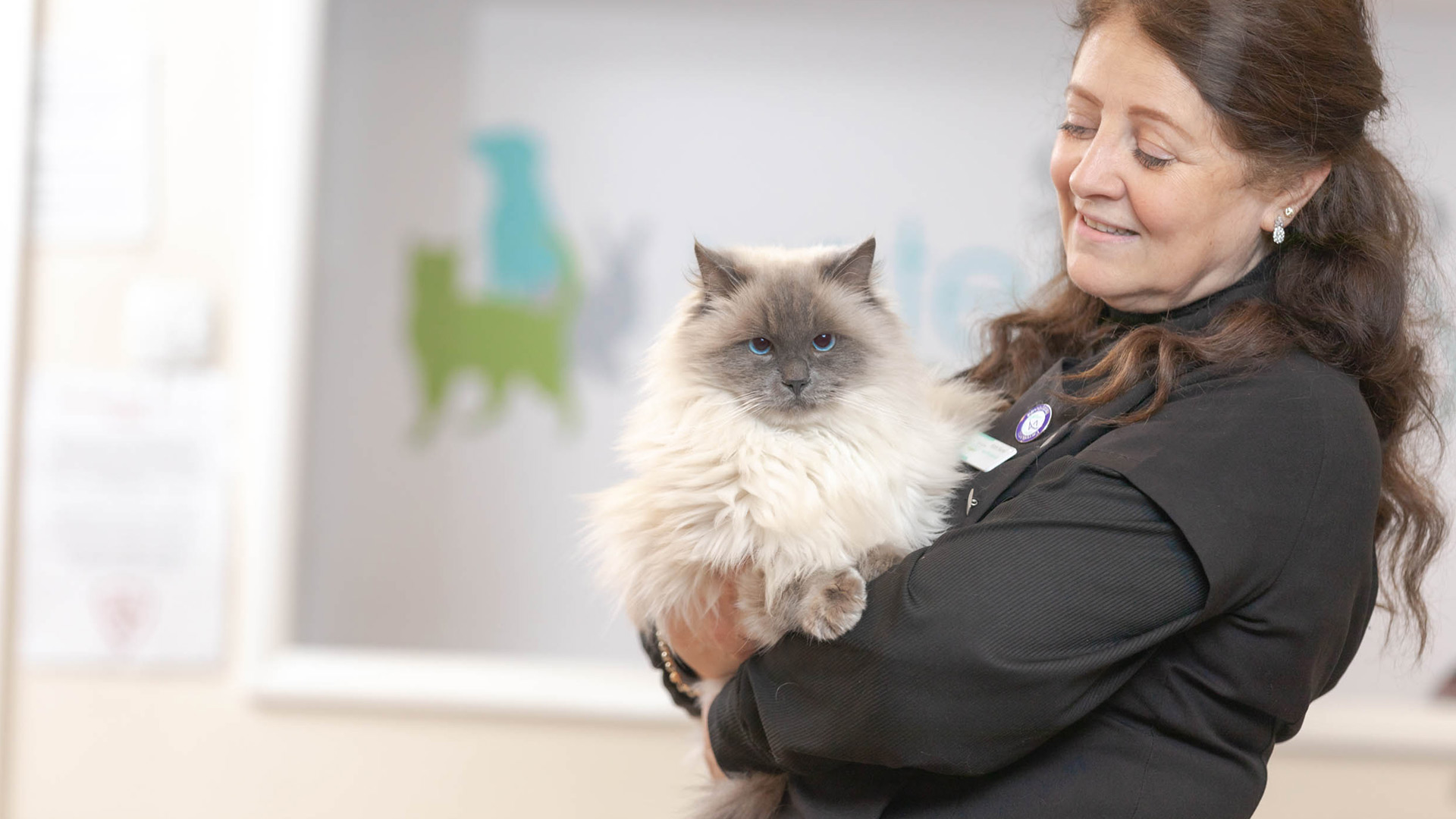 About us Local Vets in Corby Corby Vets