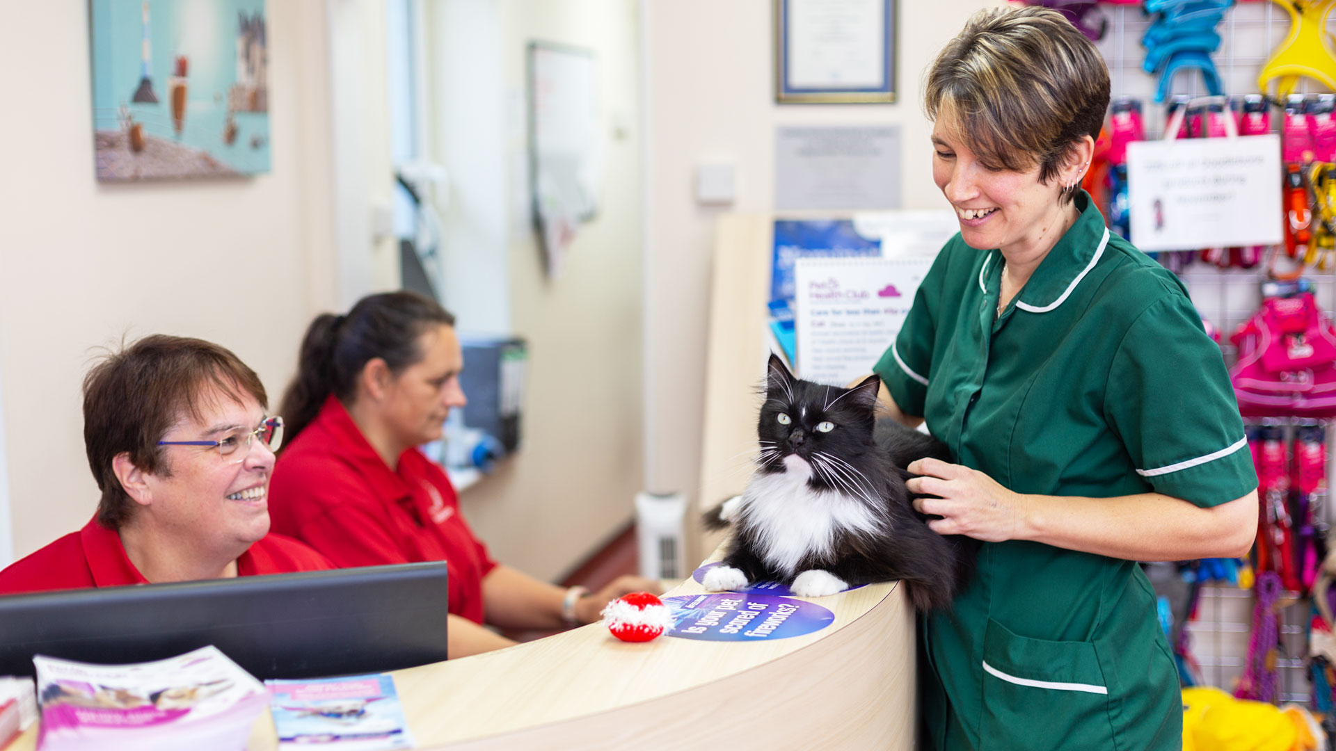 Contact Us Local Vets in Exmouth and Budleigh Salterton Corner