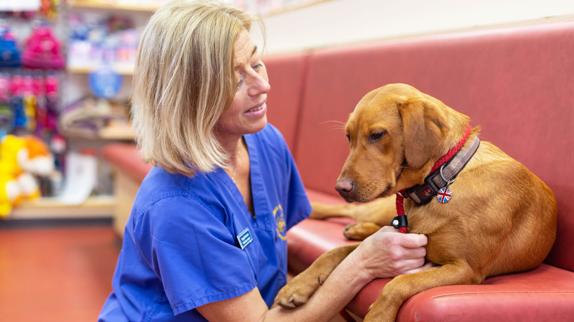 Out of Hours Vets Local Vets in Exmouth and Budleigh Salterton