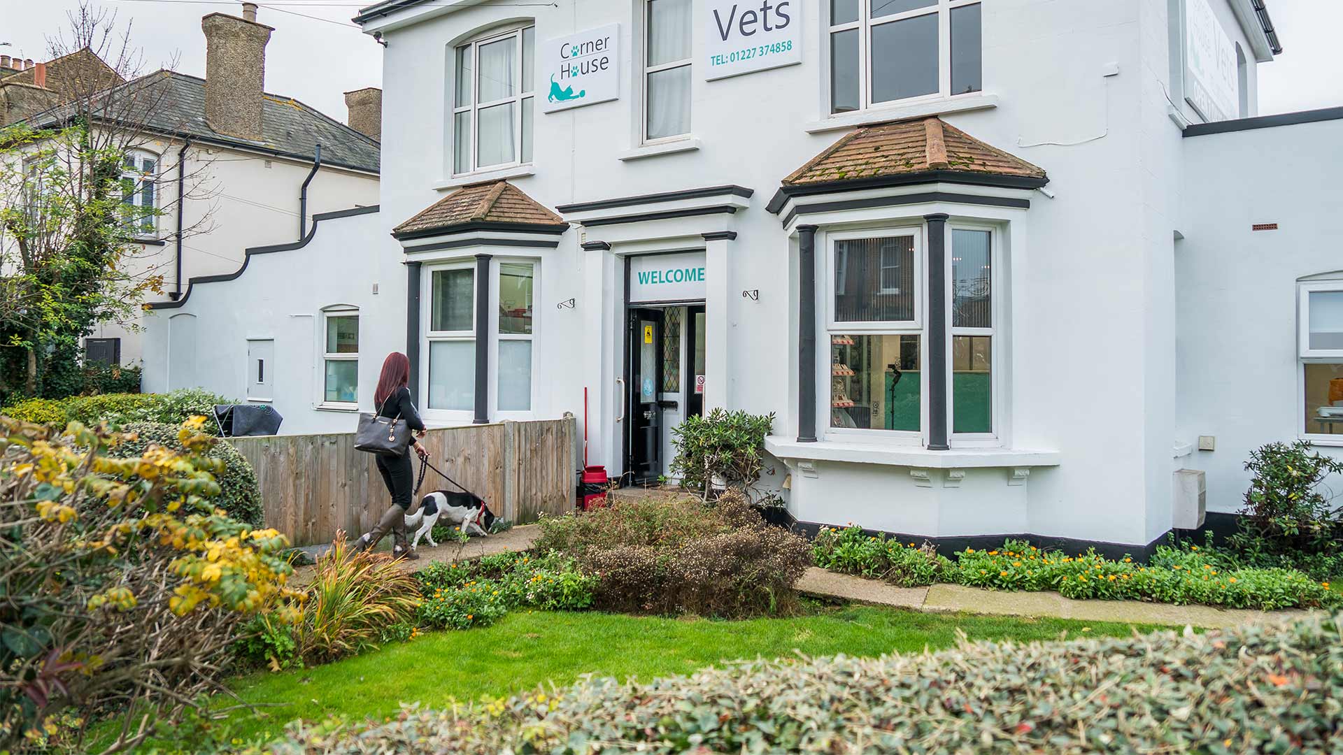 About Us Local Vets in Herne Bay, Kent Corner House Vets