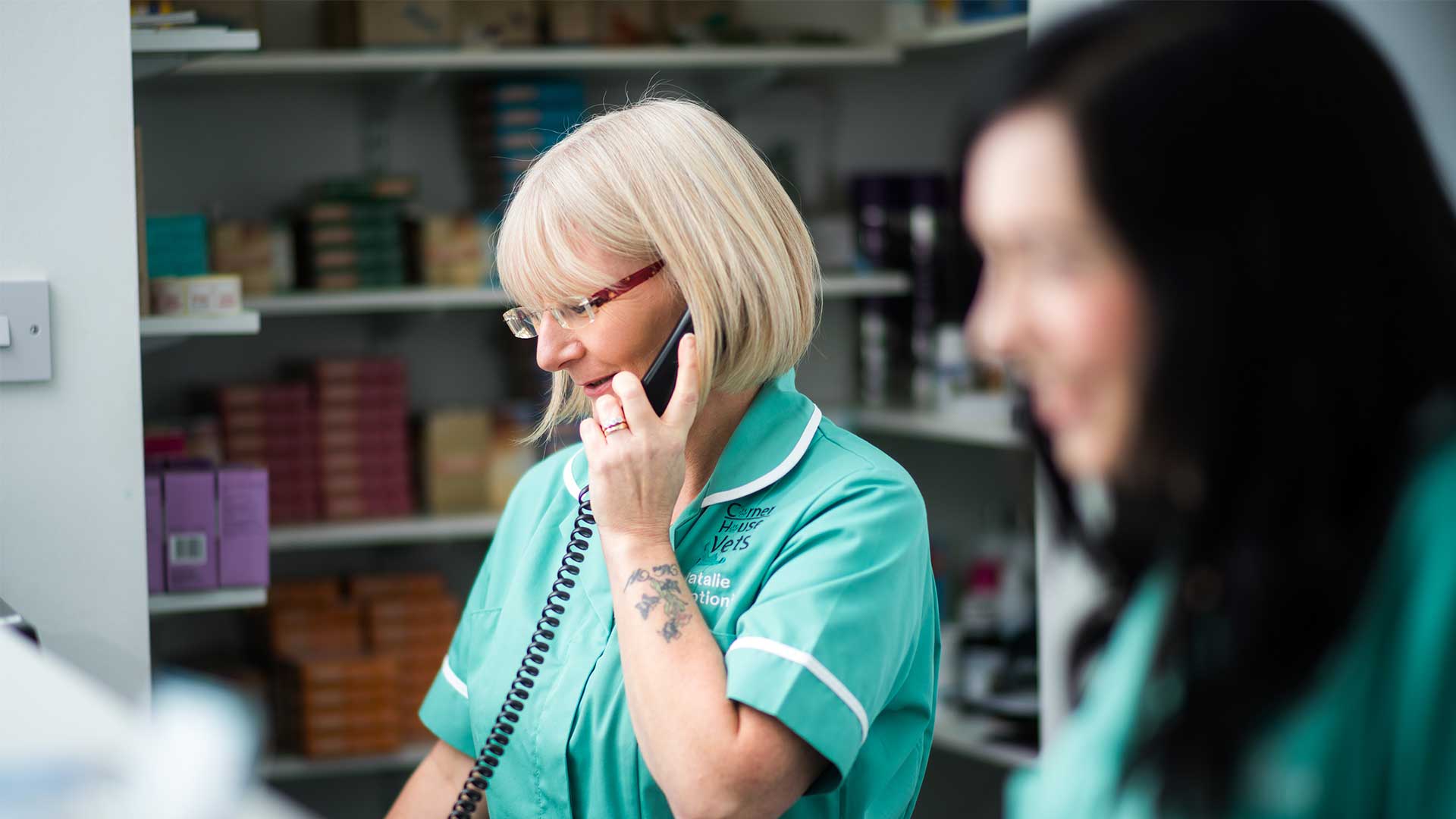 Contact Us Local Vets in Herne Bay Corner House Vets