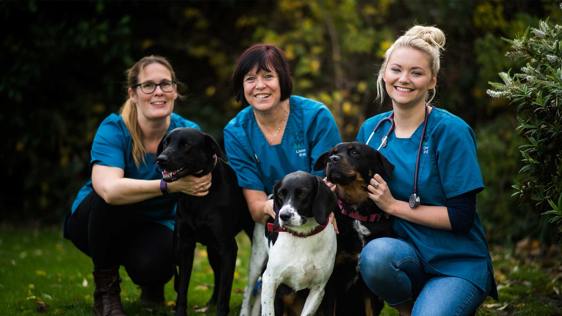 Meet The Team Local Vets in Herne Bay, Kent Corner House Vets