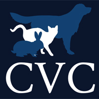 Louise Flynn - Veterinary Surgeon