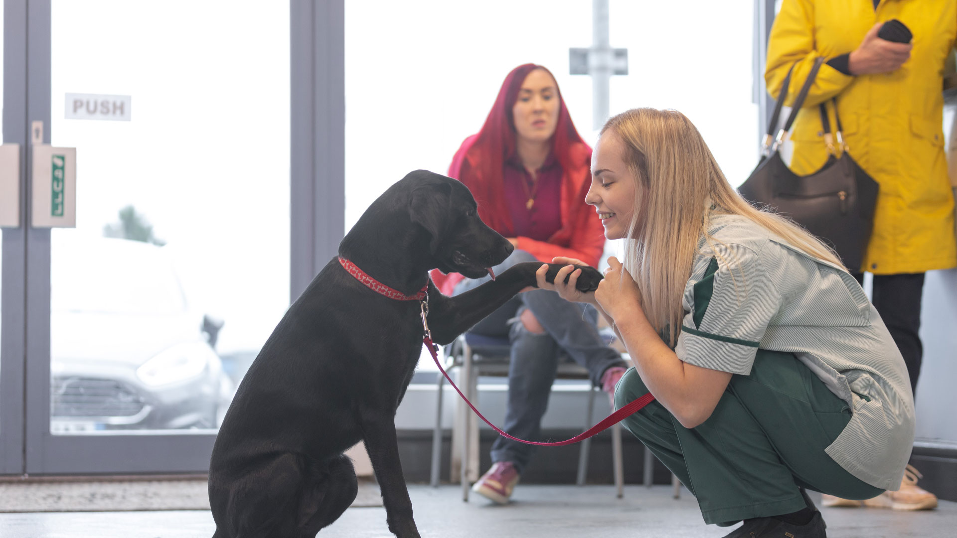 Blog Local Vets in Rochdale Crown House Vets