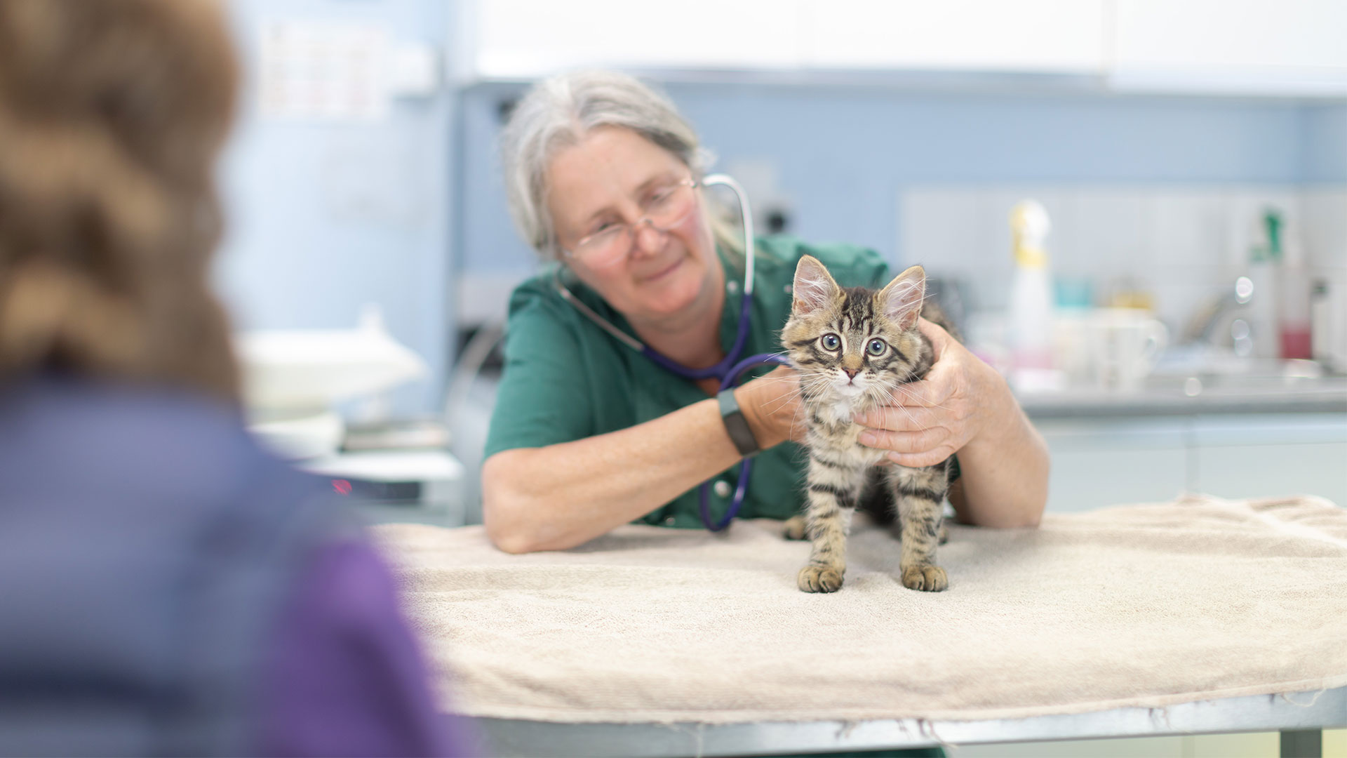 Crown House Vets Price List Vet Prices in Rochdale Crown House Vets