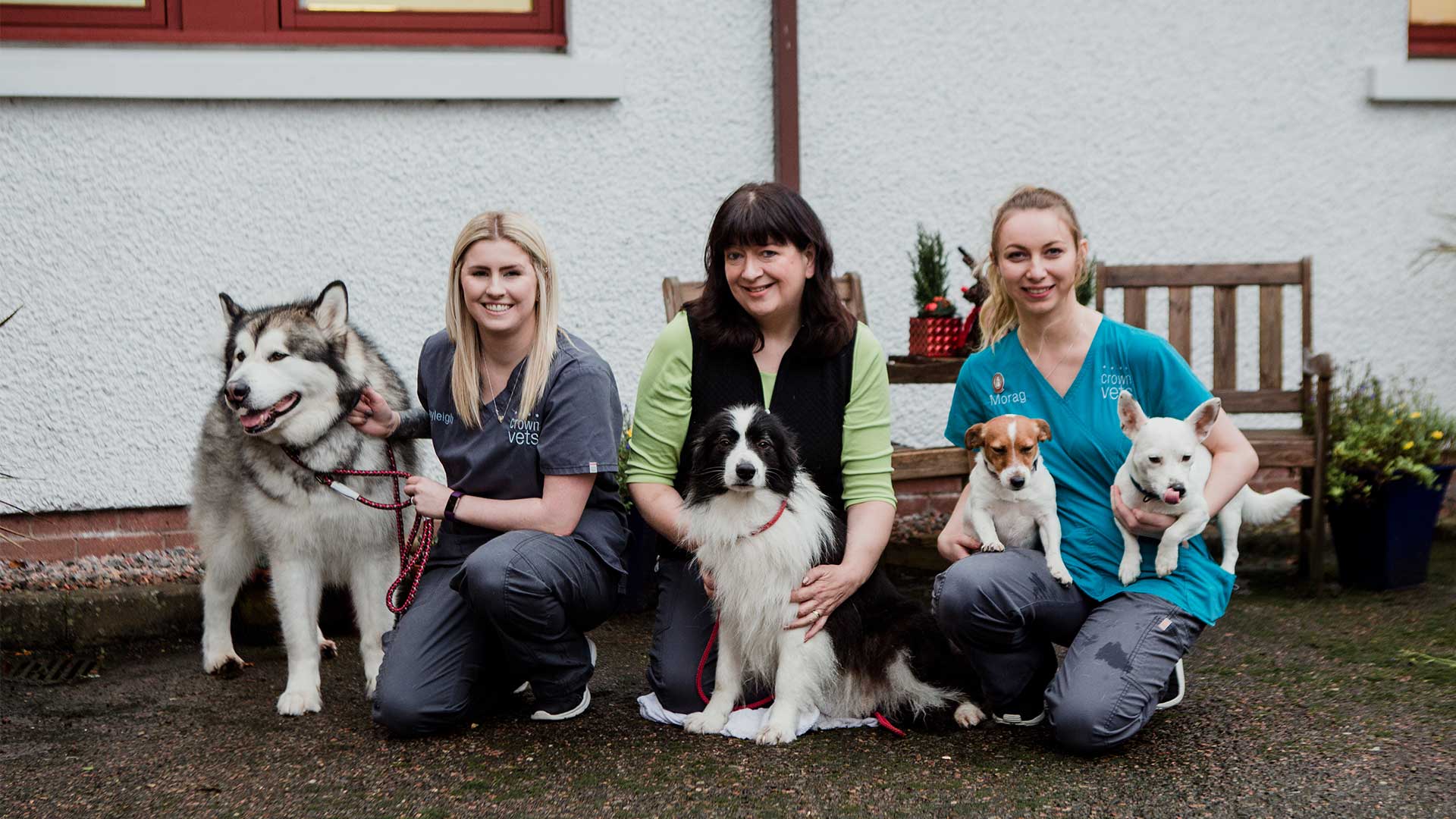 Vets in Fort William | Local Fort William Vets - Crown Vets Fort William Vets in Fort William | Local Fort William Vets - Crown Vets Fort William