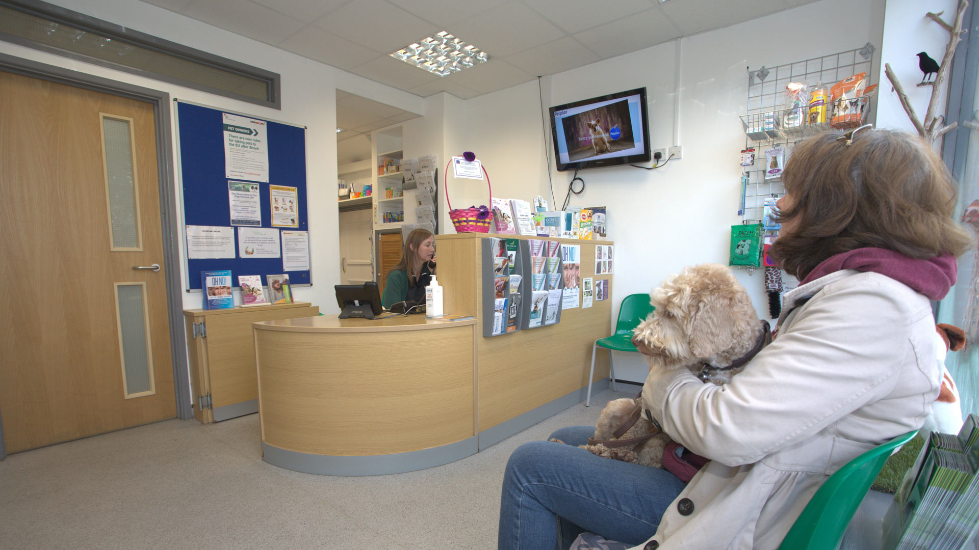 Vets in Weymouth and Dorchester Affordable Vets in