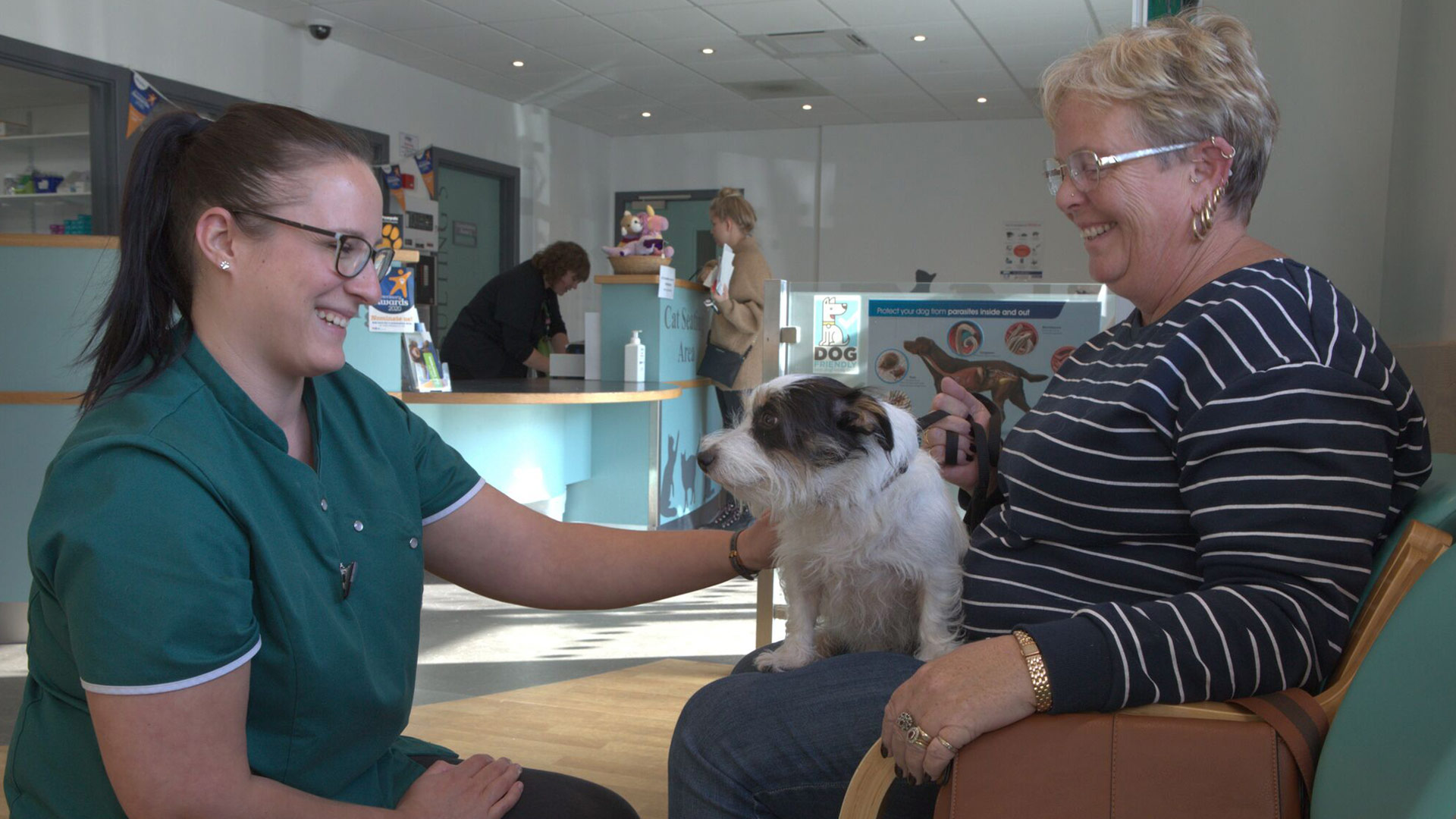 Veterinary Laser Therapy Local Vets in Weymouth and Dorchester Dave