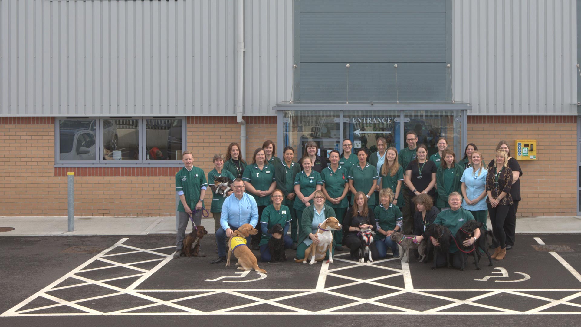 Meet the Team Local Vets in Weymouth and Dorchester Dave Cumber Vets