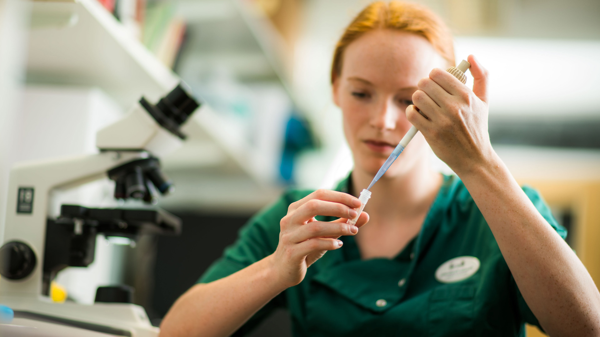 Veterinary Services Local Vets in Taunton and Deane Vets