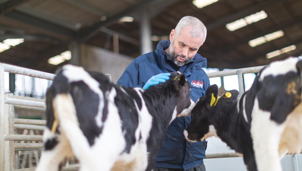 About Us | Dairy Vets in Somerset - Delaware Farm Vets