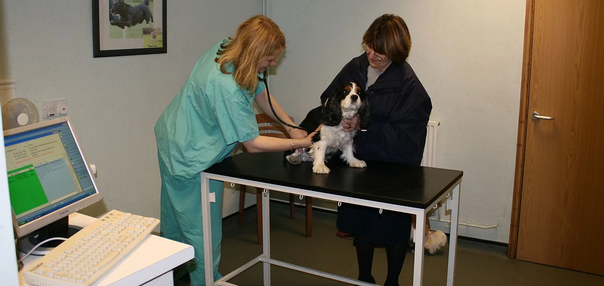 Facilities | Local Vets in Evesham - De Montfort Vets