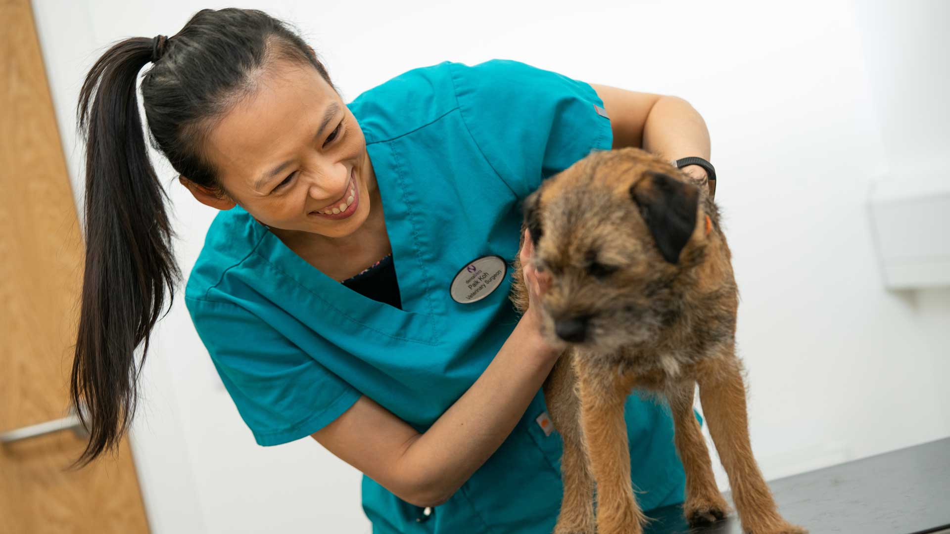 About Us Dental Vet Specialist in Haddington Dental Vets