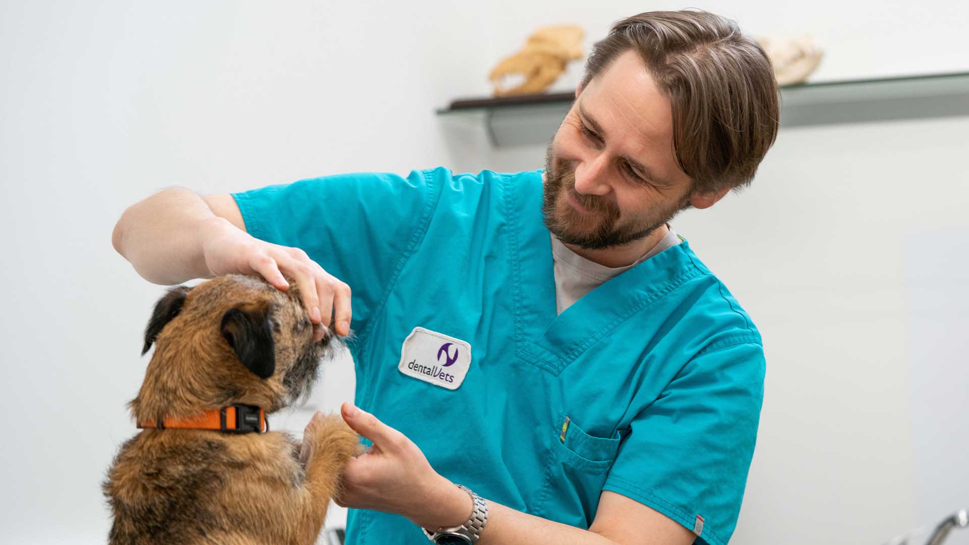 Dental CPD Dental Vets in Haddington Dental Vets