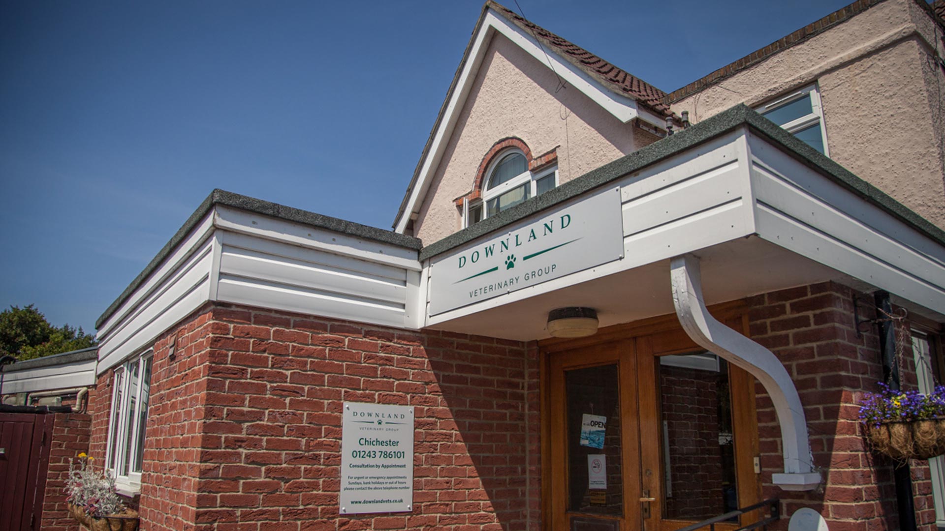 Find Vet Clinics In Chichester Downland Vets Downland Vets