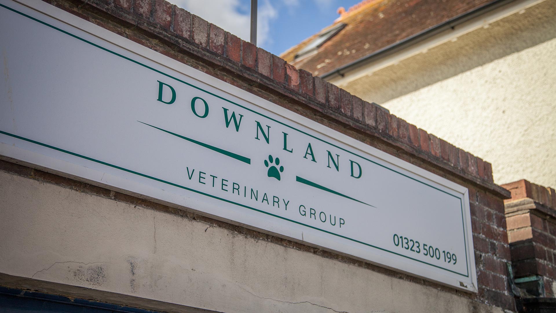 Vet Clinic Locations in Sussex and Hampshire Downland Vets Downland