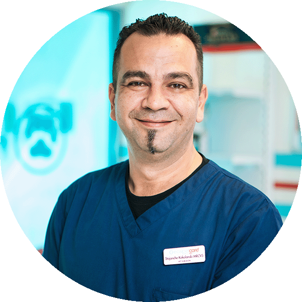 Stole - Veterinary Surgeon
