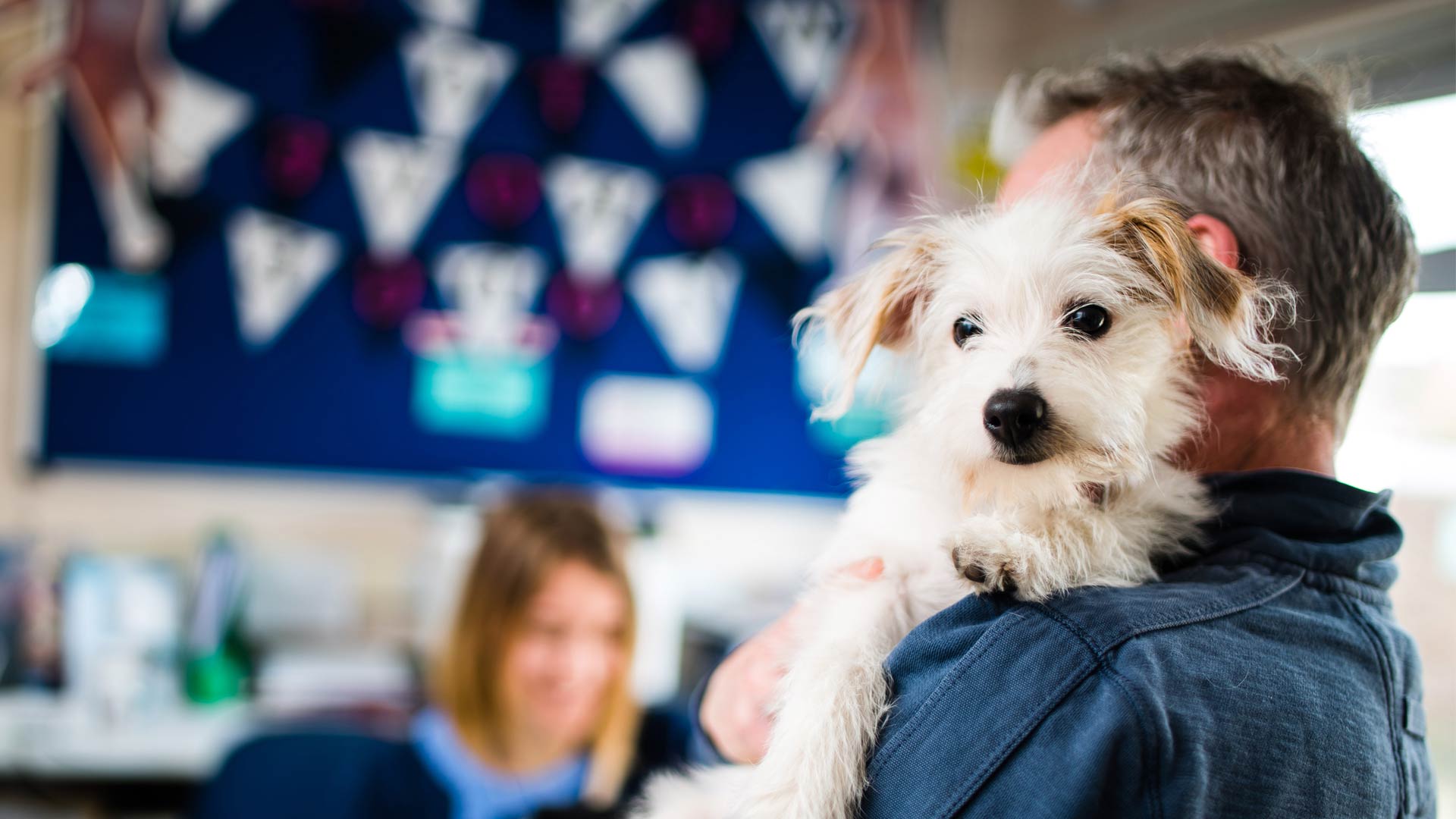 Vets in East Grinstead, Crawley, Copthorne Affordable East Grinstead