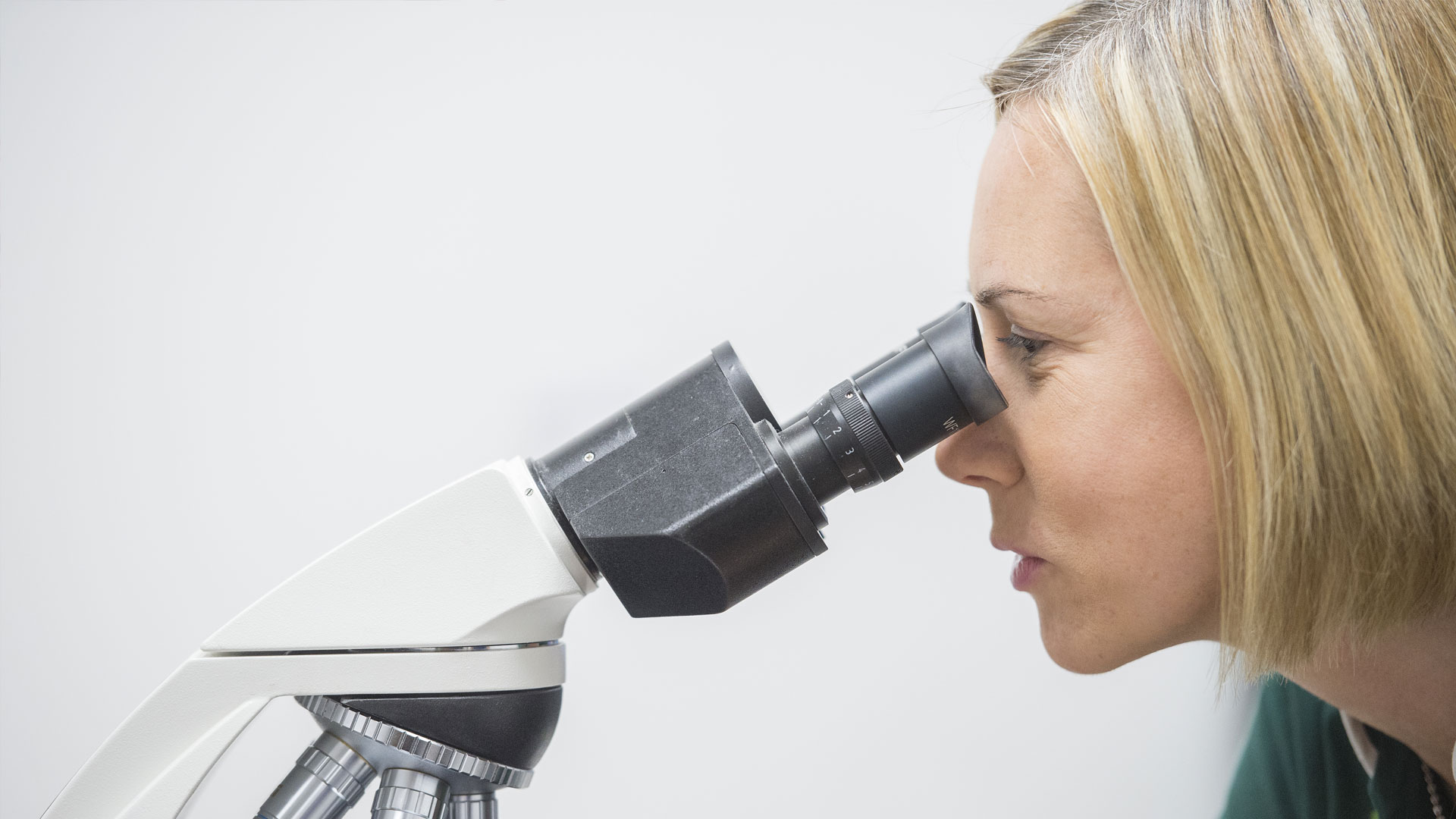 About us Local Vets in Bristol Emersons Green Veterinary Surgery